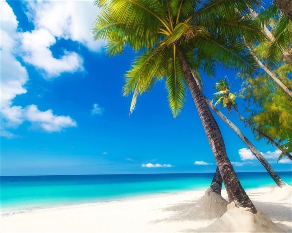 AOFOTO 10x8ft Sea Beach Photography Background Hawaiian Luau Seaside Palmtree Backdrop Vacation Trip Blue Sky Summer Holiday Boy Girl Lovers Adult Portrait Wedding Photo Studio Props Vinyl Wallpaper