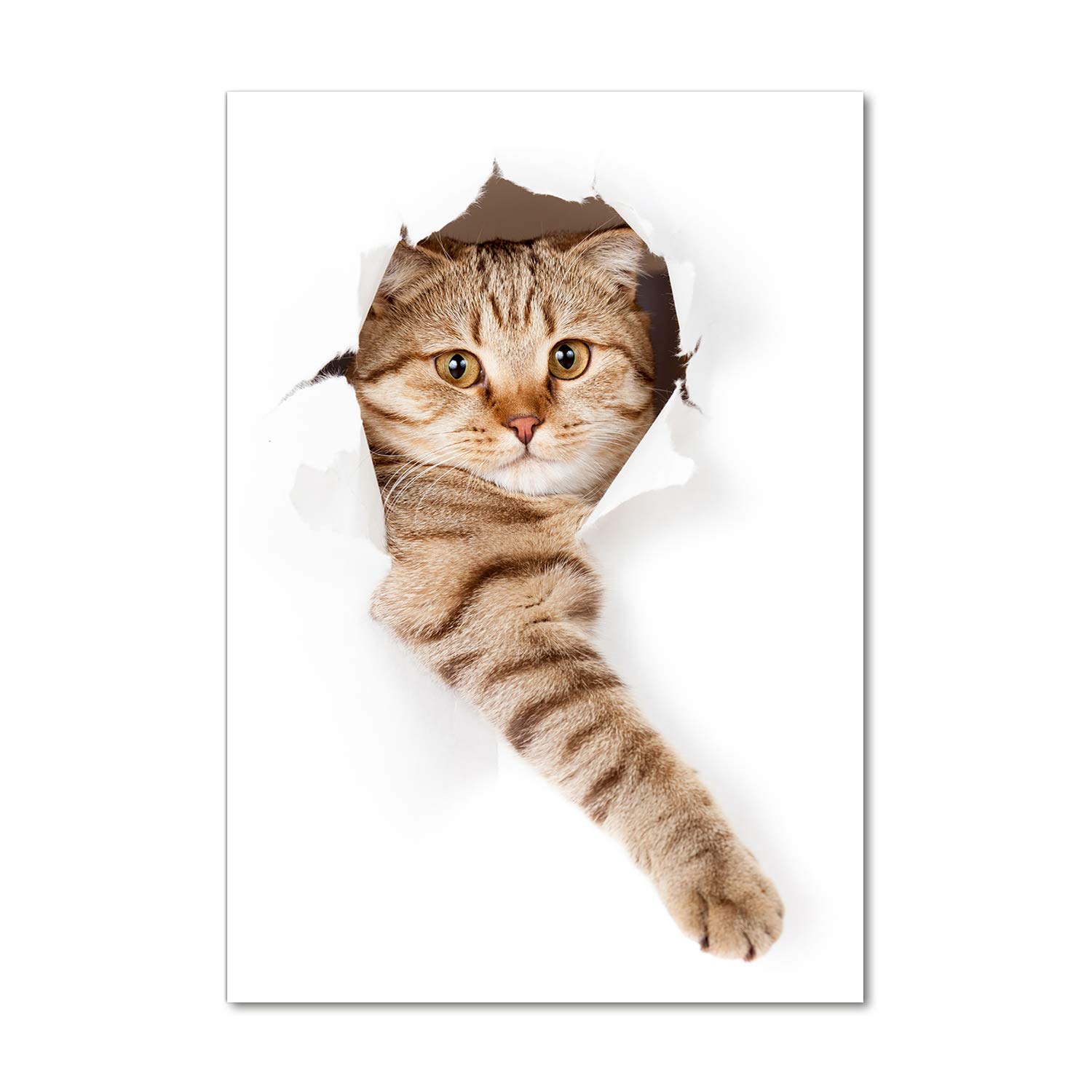 Impression sur verre 70x100 cm Tulup chat beige tableau photo décorative cuisine salon