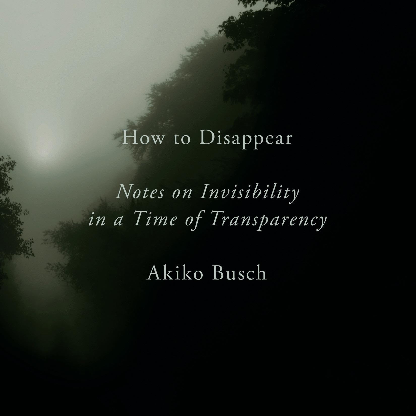 Cover art for How to Disappear