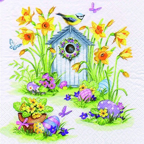 20 tovaglioli con narcisi intorno alla casa degli