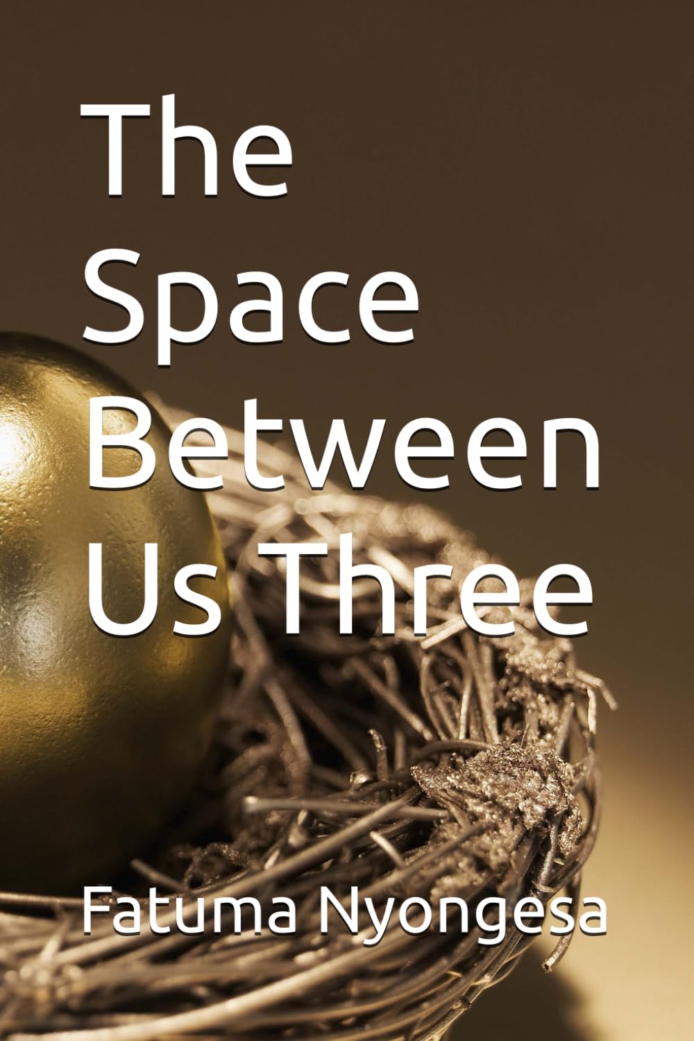 The Space Between Us Three