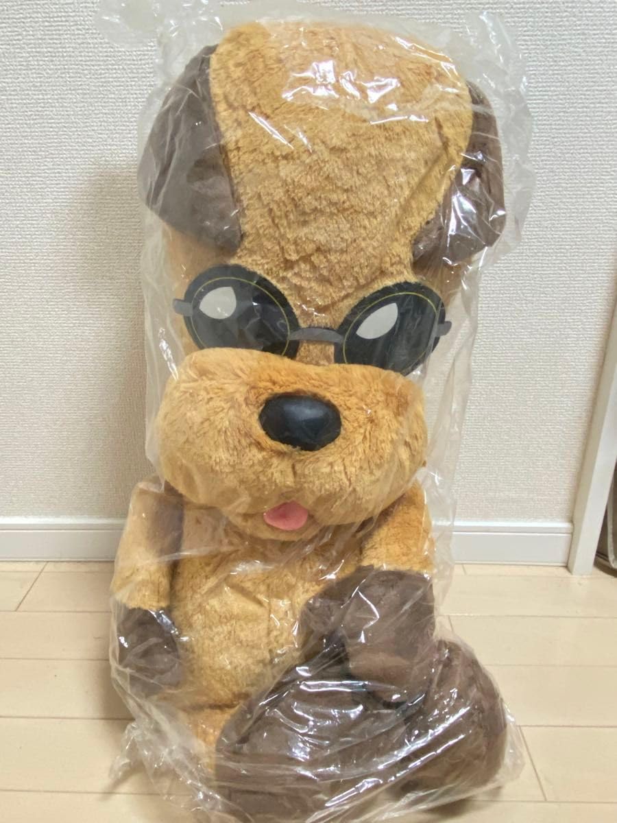 Amazon.co.jp: AAA 與真司郎 JIROくん BIGぬいぐるみTHIS IS WHO I AM 