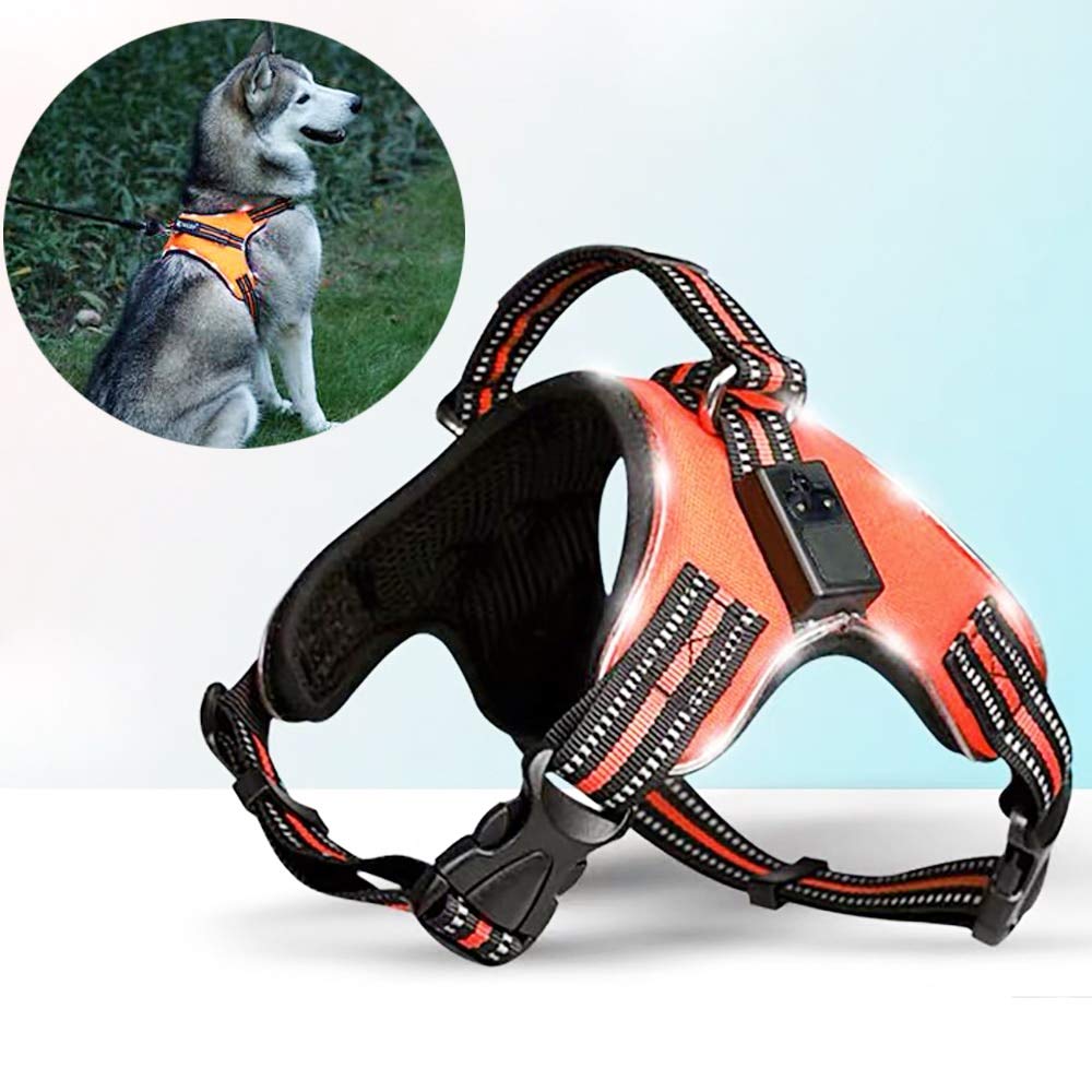 Haustier LED Kabelbaum für Haustier Hund Schwanz Nylon LED blinken Hund Kabelgeschirr Halsband Haustier Sicherheitsgurt Leine Hundezubehör M Grün