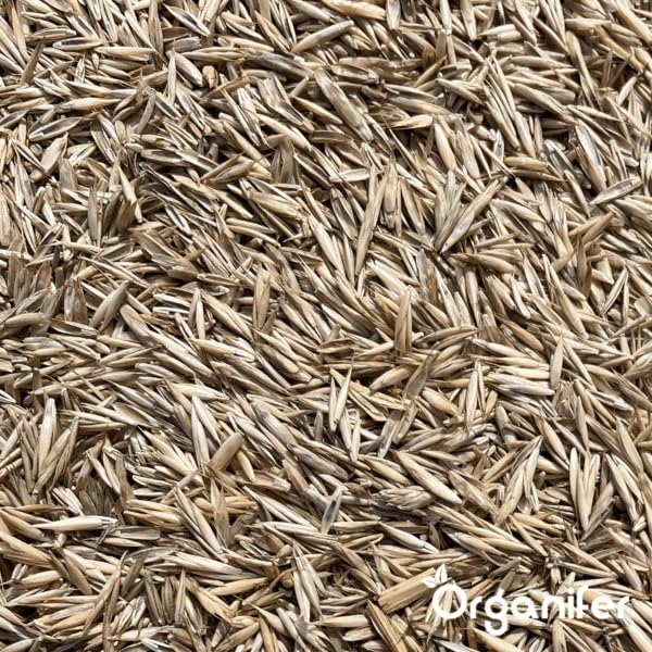 Organifer Herstelgazon Graszaad – Resilient (1 Kg Voor 50 M2), Gazonreparatiezaadmix, Milieuvriendelijk Gazonzaad, Onderhoudsarm Graszaad, Dichte Dekking, Duurzaam En Slijtvast, Nak-Certificering - Afbeelding 5