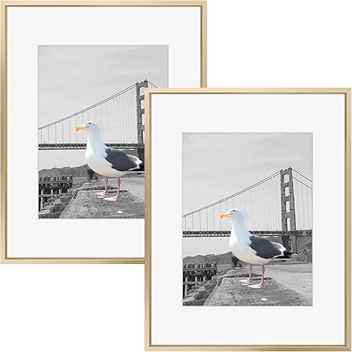 Miniatura 1 de Frametory, Marco de fotos de aluminio de 16 x 20 pulgadas con paspartú de color marfil para fotos de 11 x 14 pulgadas y vidrio real, colección de