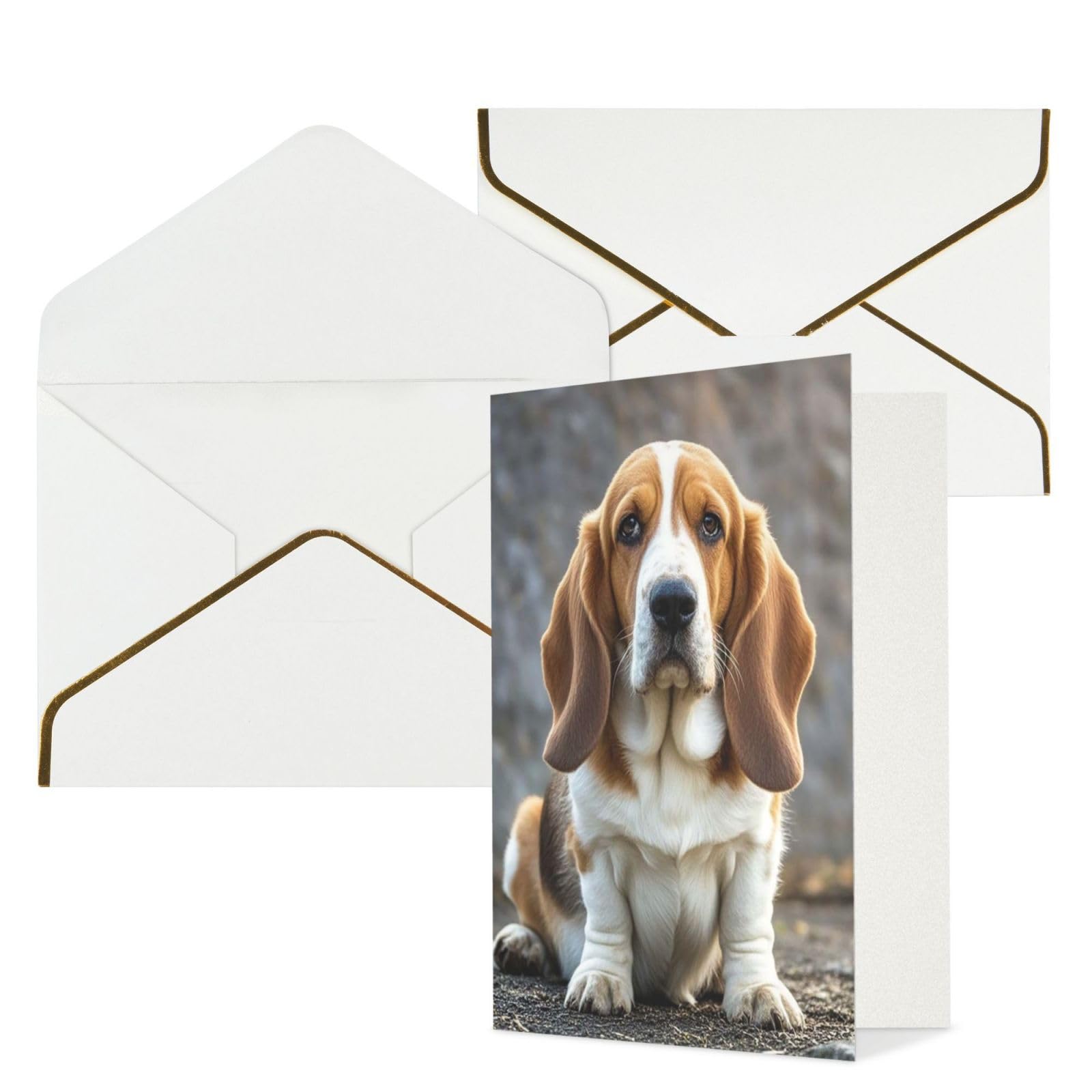 HQaxsfQxnr Greeting Cards Blank Note Cards with Gold Edge Envelopes Thank of You Card Basset Hound Greeting Cards Folding Blank Card for Holiday Blank