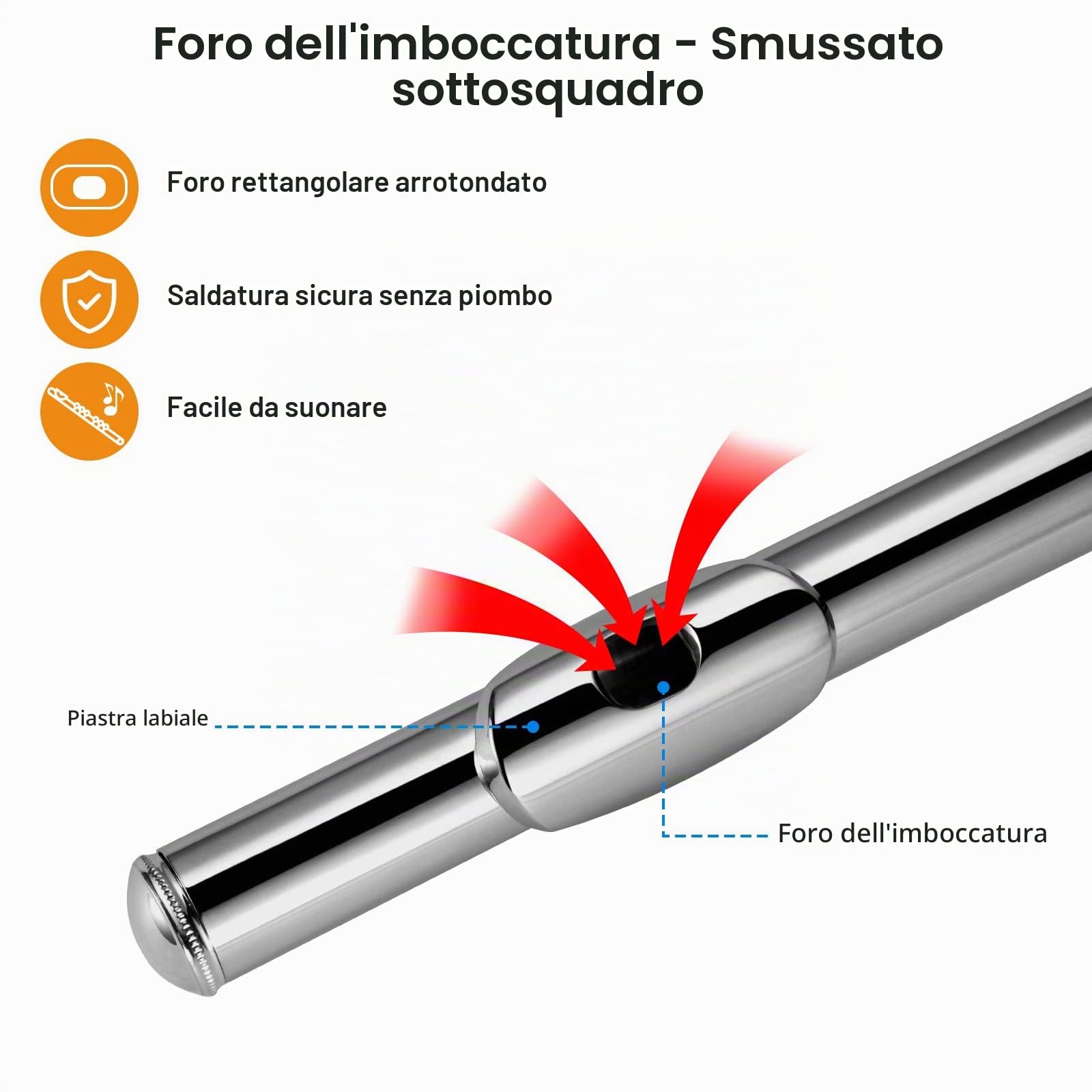 POGOLAB Flauti, Foro Chiuso C 16 Tasti, Flauto per Studenti Principianti Avanzati, con Kit di Pulizia per Flauto, Borsa per il Trasporto, Supporto, Cinghia, Asta Sonda, Guanti, Grasso, Placcato Nickel