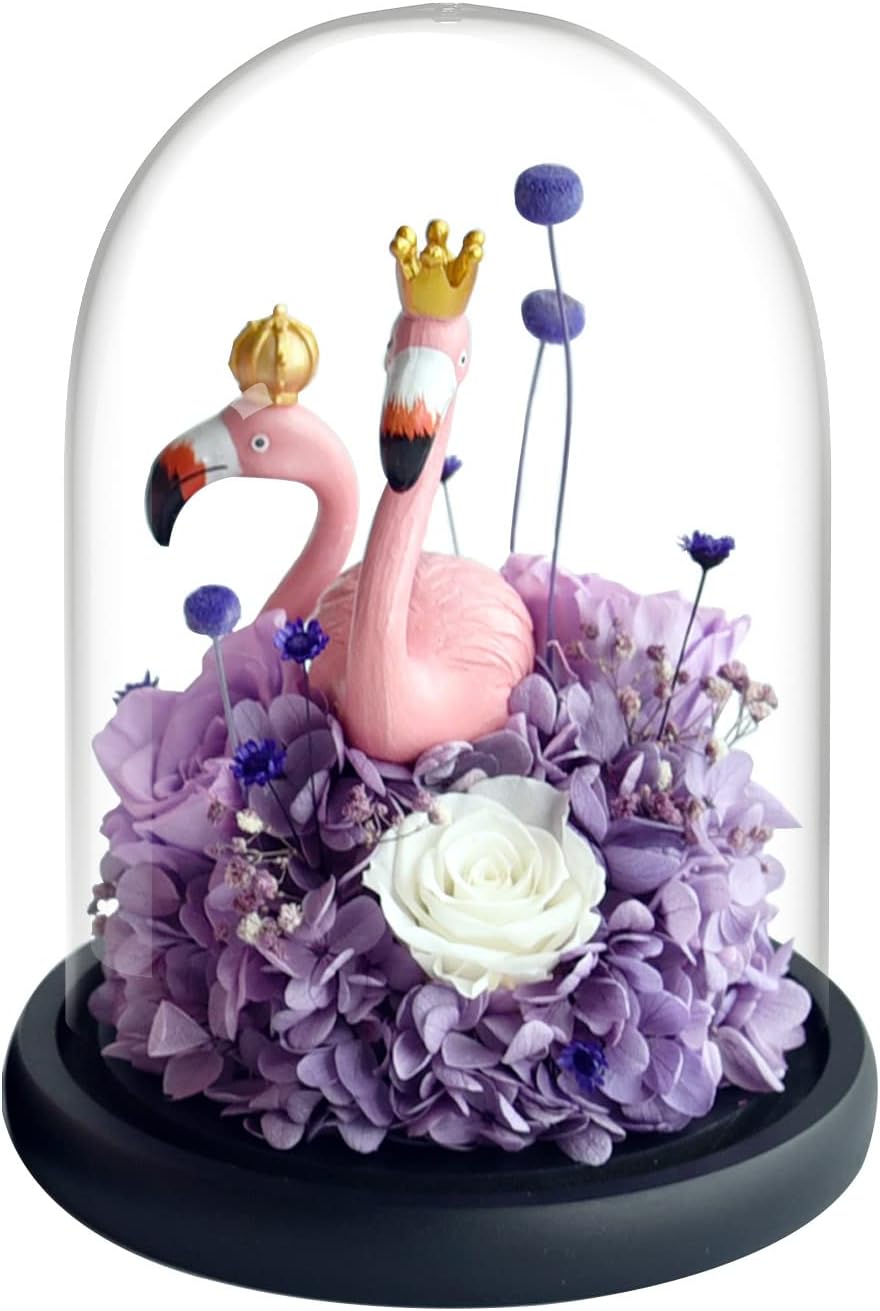 Eternal Flower,Preserved Real Rose Gifts for Mothers Day,Royal Flower Girl，Glass Dome Rose Flower Gifts, Birthday Gifts Wedding Gift for Women Mom