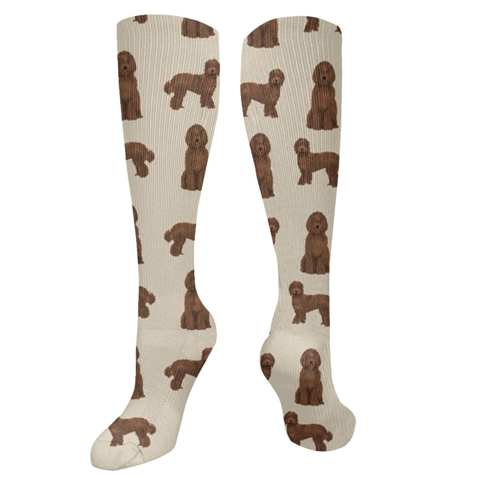 Boot Socks Labradoodle Dog Chocolate Labradoodles Design Tan Work Socks Wicking Golf Socks Cute Winter Socks 50Cm For Valentine'S Day, Mother'S Day, Hiking