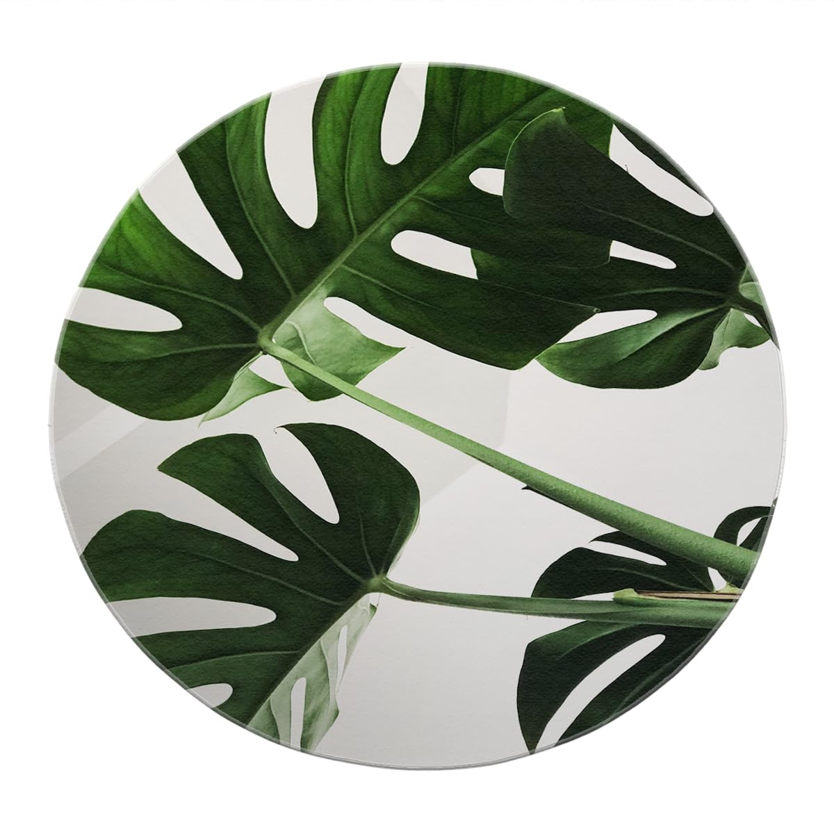 Minimalistische runde Teppiche 120cm - grüner Monstera Blattmuster kreisförmiger Teppich faltbar weich rutschfest für Veranda Gästetoilette Bibliothek Sofa