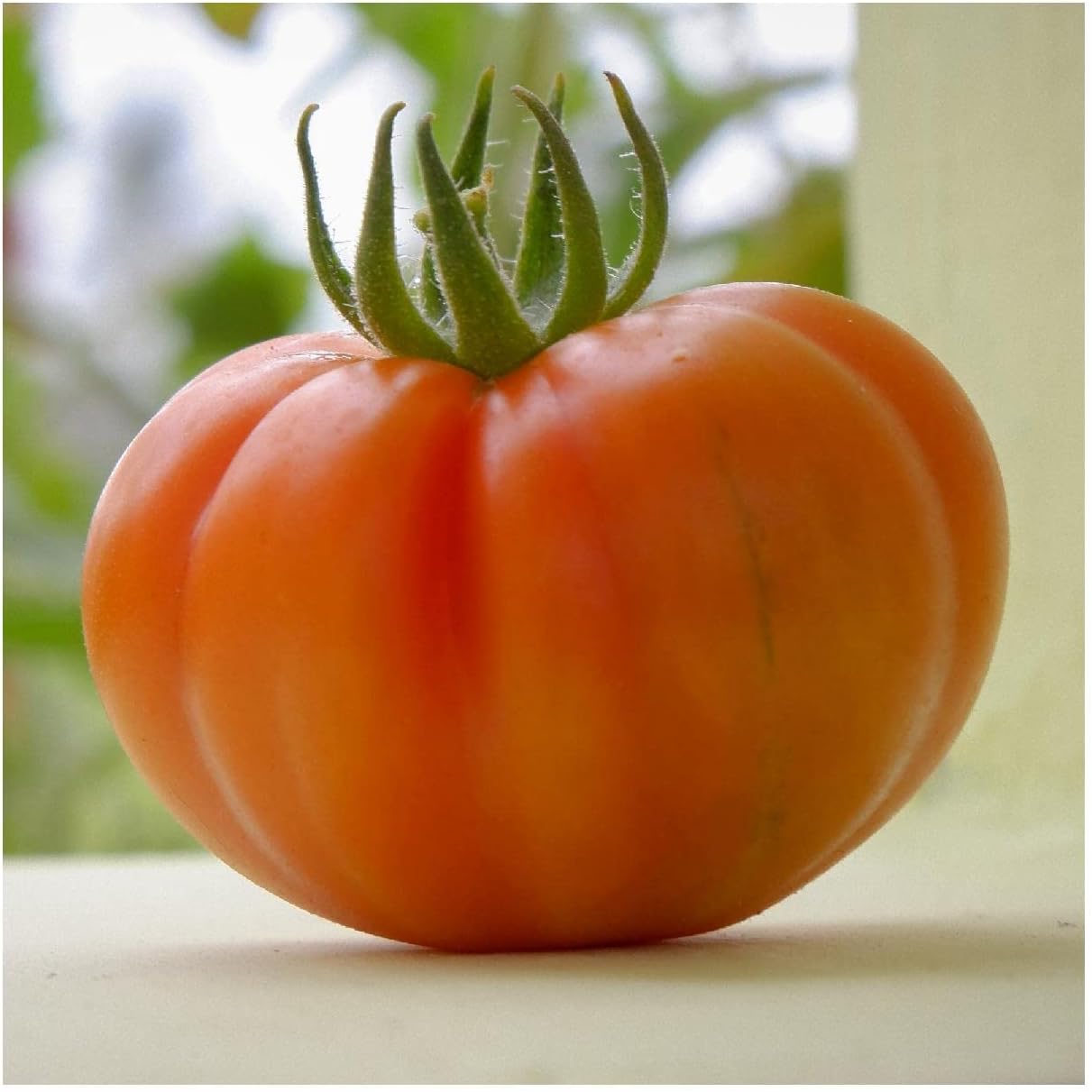 Everwilde Farms - 1 Oz Organic Hillbilly Heirloom Tomato Seeds - Gold Vault Packet