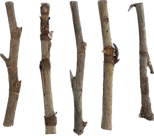 palo hueso (paquete de 5) palitos de santeria palitos de palo hueso santeria cascarilla osha efun carga de 21 palos santeria cascarilla elegua oshun