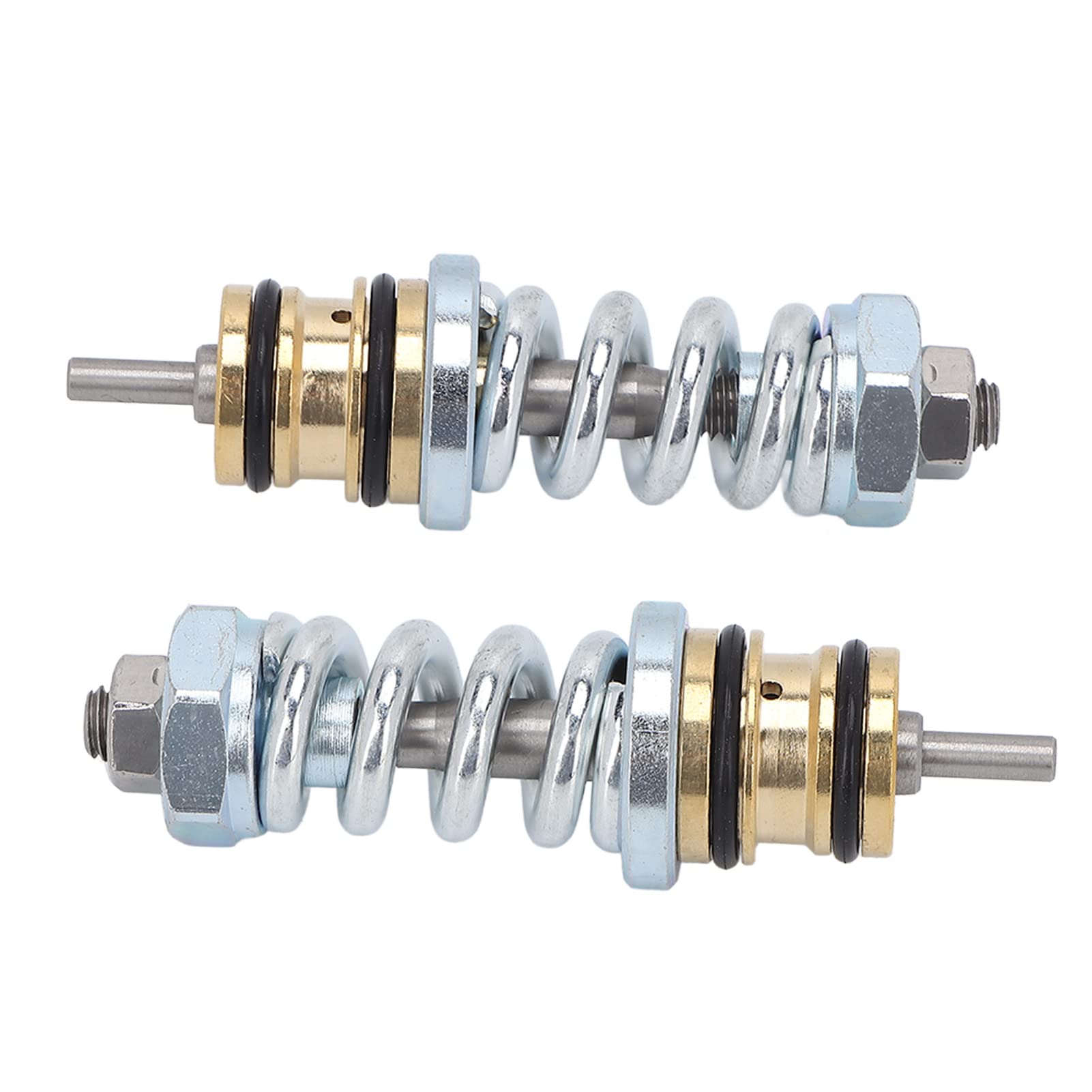 Válvula de Descarga de Lavadora a Presión, Conjunto de Válvula de Descarga 309515003 Reemplazo de Alta Resistencia para Bomba de Lavadora a Presión Troy Bilt