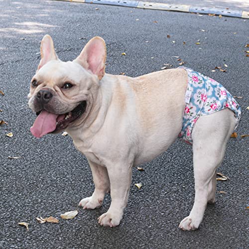 Image of CuteBone Washable Dog Diapers Female No Tail Hole 3 Pack Reusable Doggie Period Training Pants for Docked-Tail Frenchie French Bulldog Boston Terrier Without Tail WWD02XS