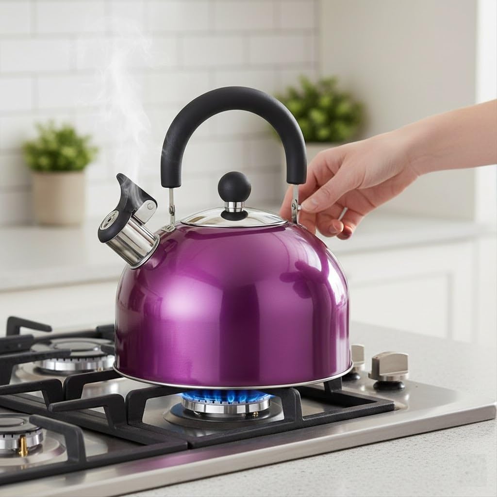 Stainless Steel Whistling Kettle, Fast-Boil Stovetop Tea Kettle, 2.5L or 3.5L, Metallic Green or Black & Chrome (Pink Camping, 2.5L)