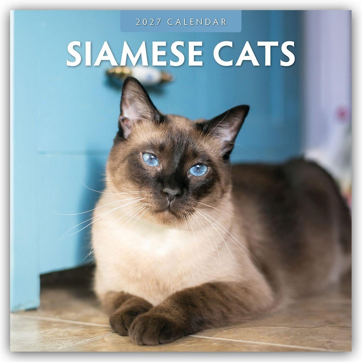Siamese Cats 2027 Square Wall Calendar: Original Red Robin Publishing Ltd-Kalender [Mehrsprachig] [Kalender]
