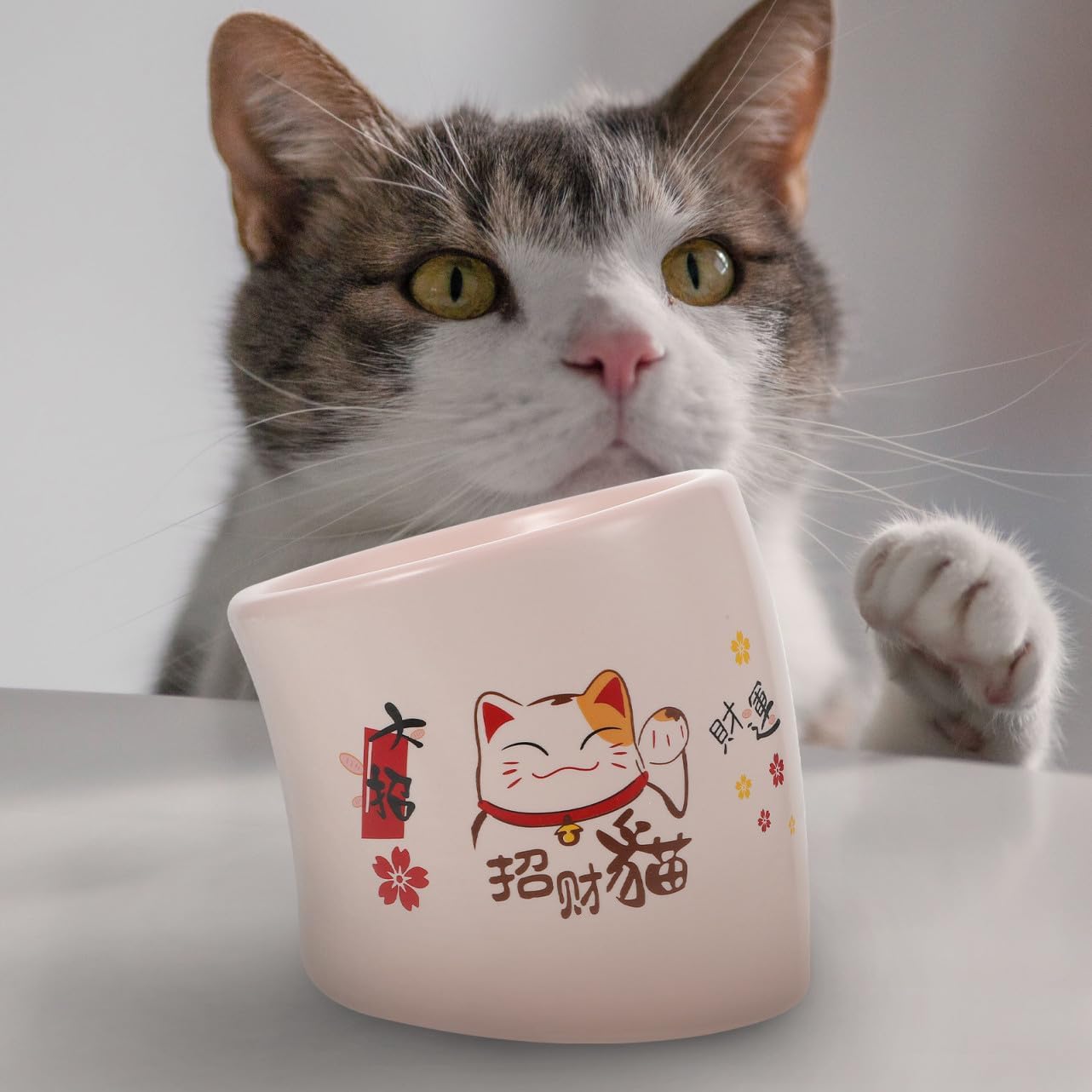 Ceramic Elevated Cat Bowl with Neck Protection Anti-Spill Pet Feeding Dish Pink High Footed Cat Bowl and Kittens