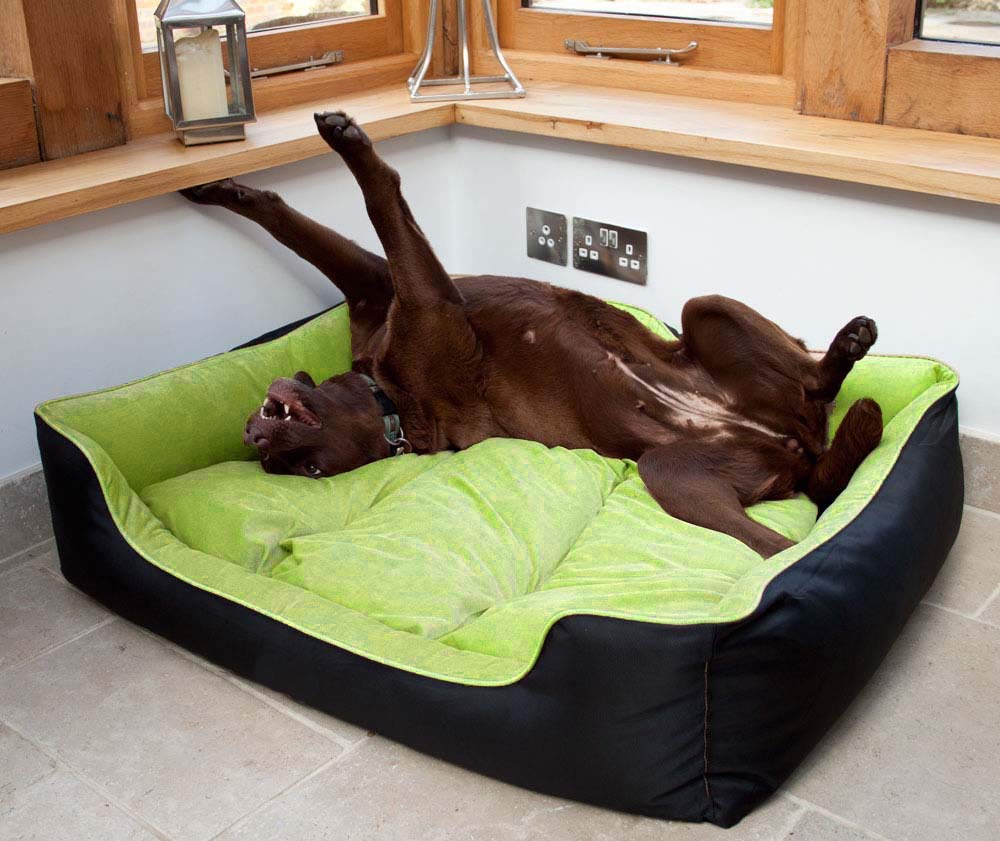 KOZI PET Dog/Cat Ultra Soft Filled Bottom Side Waterproof Reversible Bed Ethnic desingner Black/Green-(Export Quality)-XXL with Super Soft Blanket (B07P7QSQBH) Amazon Price History, Amazon Price Tracker