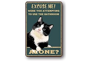 Black Cat Metal Poster: A Purr-fect Decor for Cat Lovers