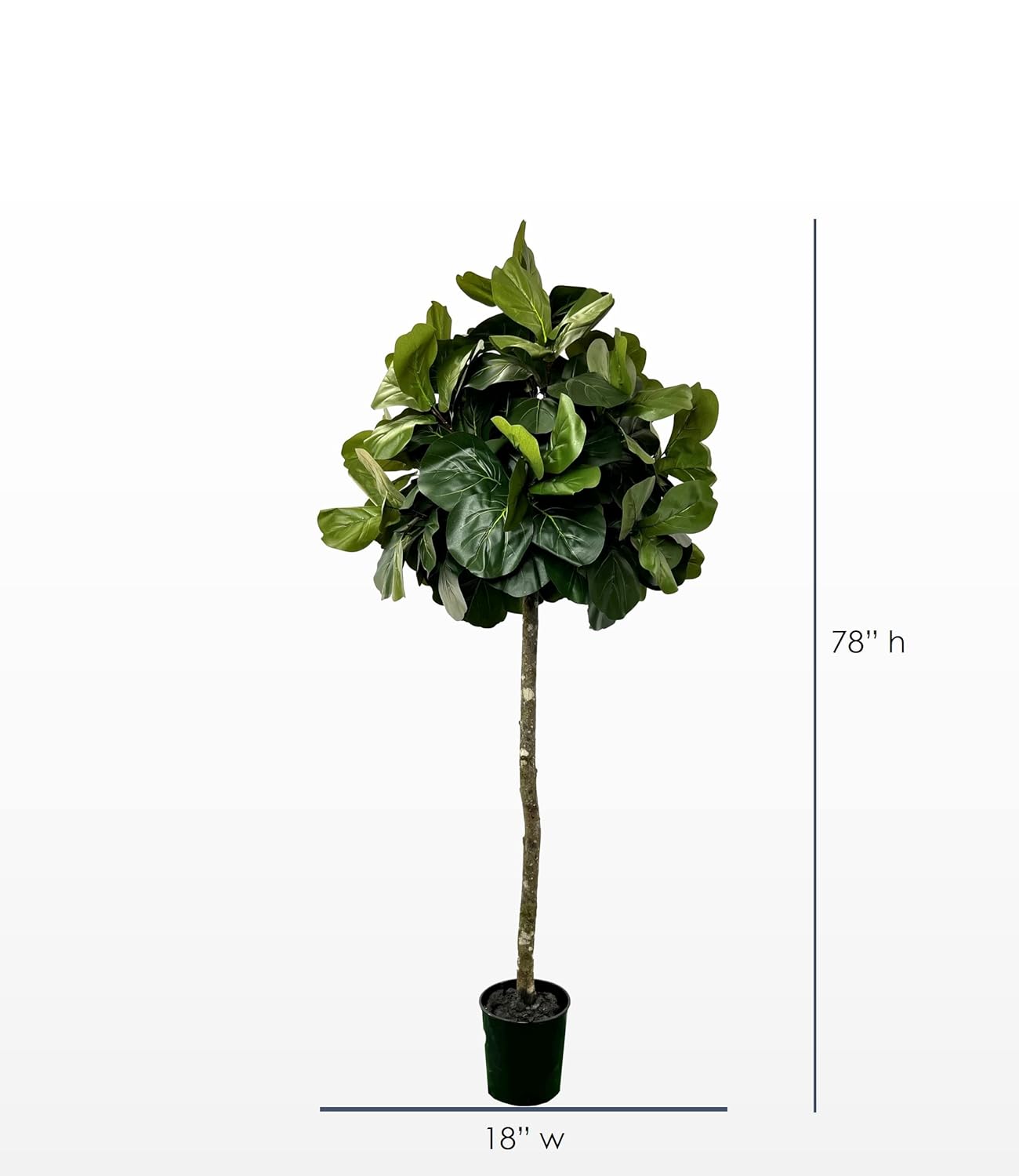 Hand-Made 6.5' Manicured Artificial Fig Tree, Artificial Plant, Green, Cypress & Alabaster : Home & Kitchen
