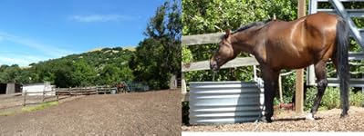 Review Image by Beemer903 Beemer903