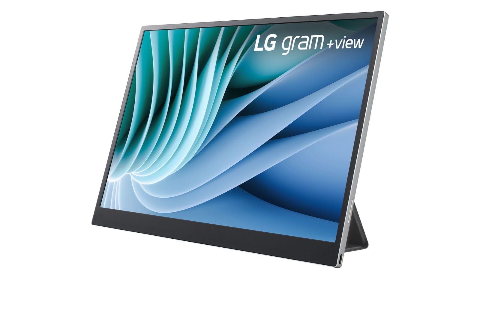 LG gram +view WQXGA (2560 x 1600) Portable IPS Display : Amazon.sg