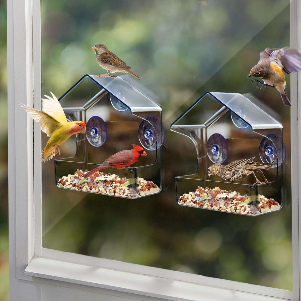 Amazon.com : 2 Pk Acrylic Bird Feeder for Outside - Window Bird Feeder ...