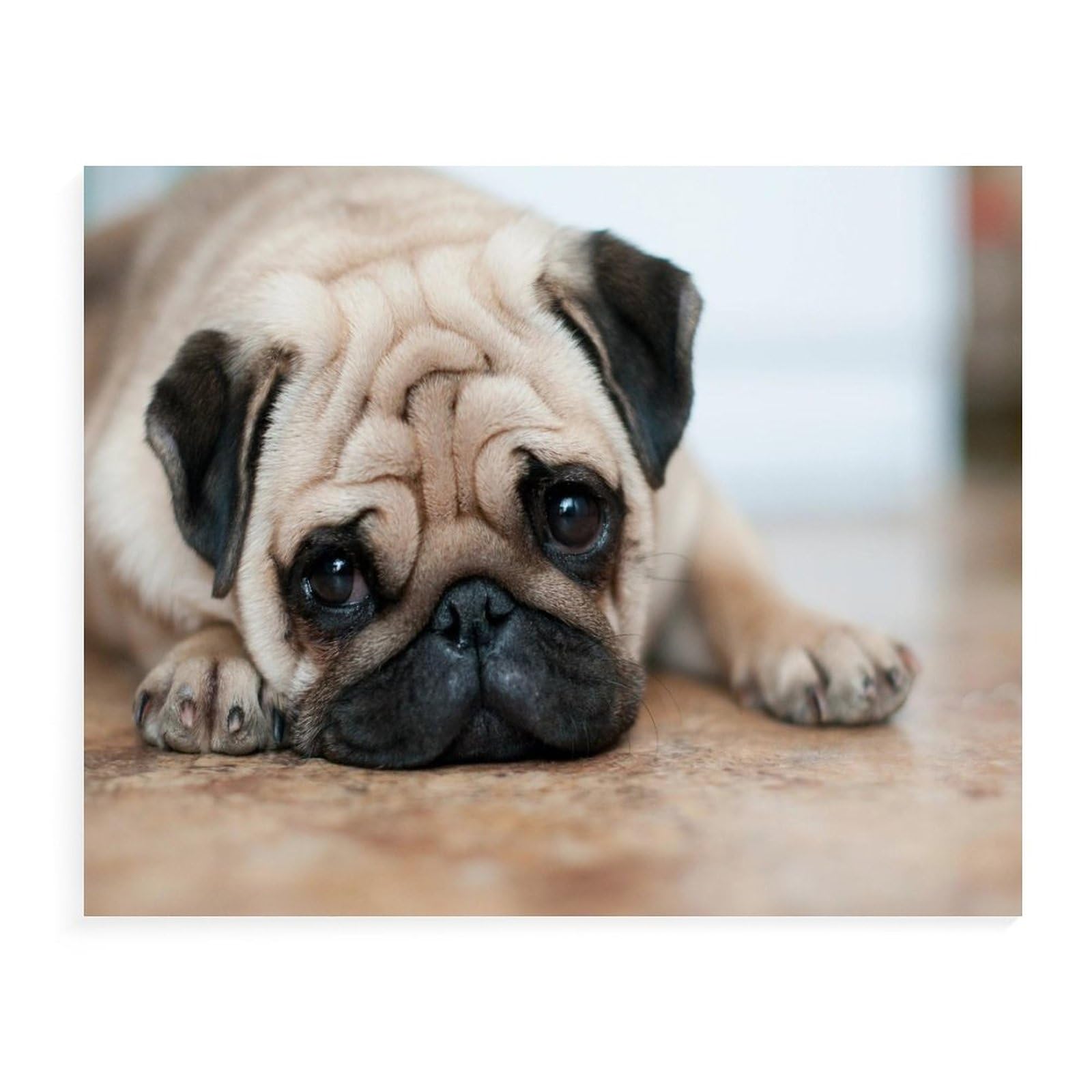 jigsaw 1000 pieces,Pug,jigsaw puzzles adults kids difficulty jigsaw jigsaw game role puzzles education toys games family decoration(75x50cm)-78 — image 1