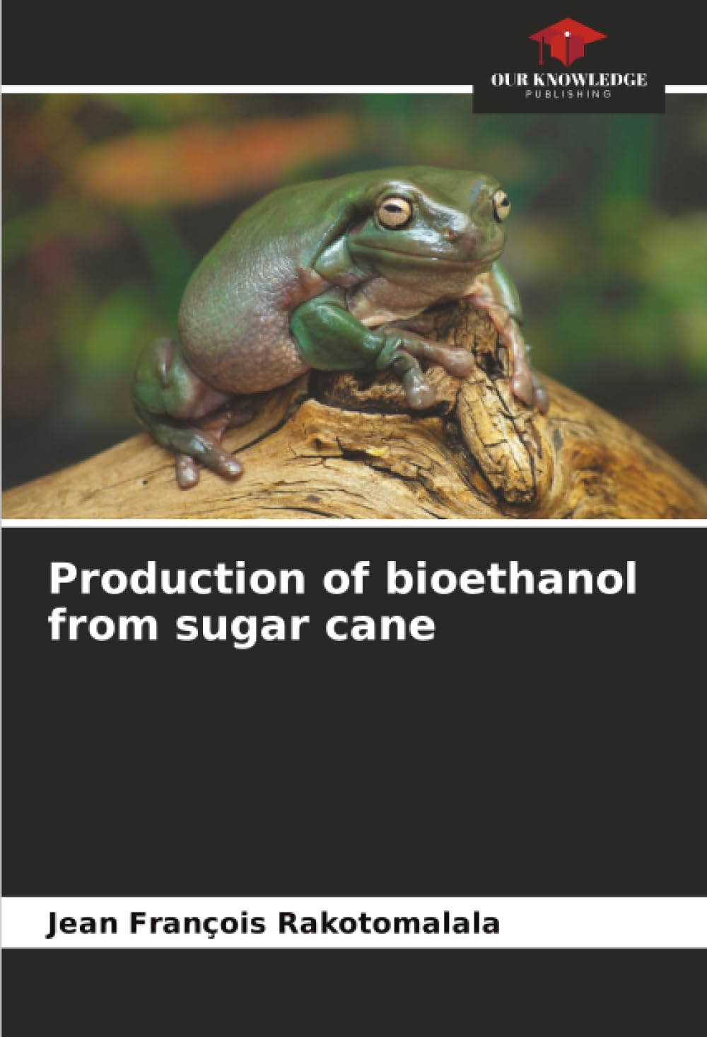 Production of bioethanol from sugar cane