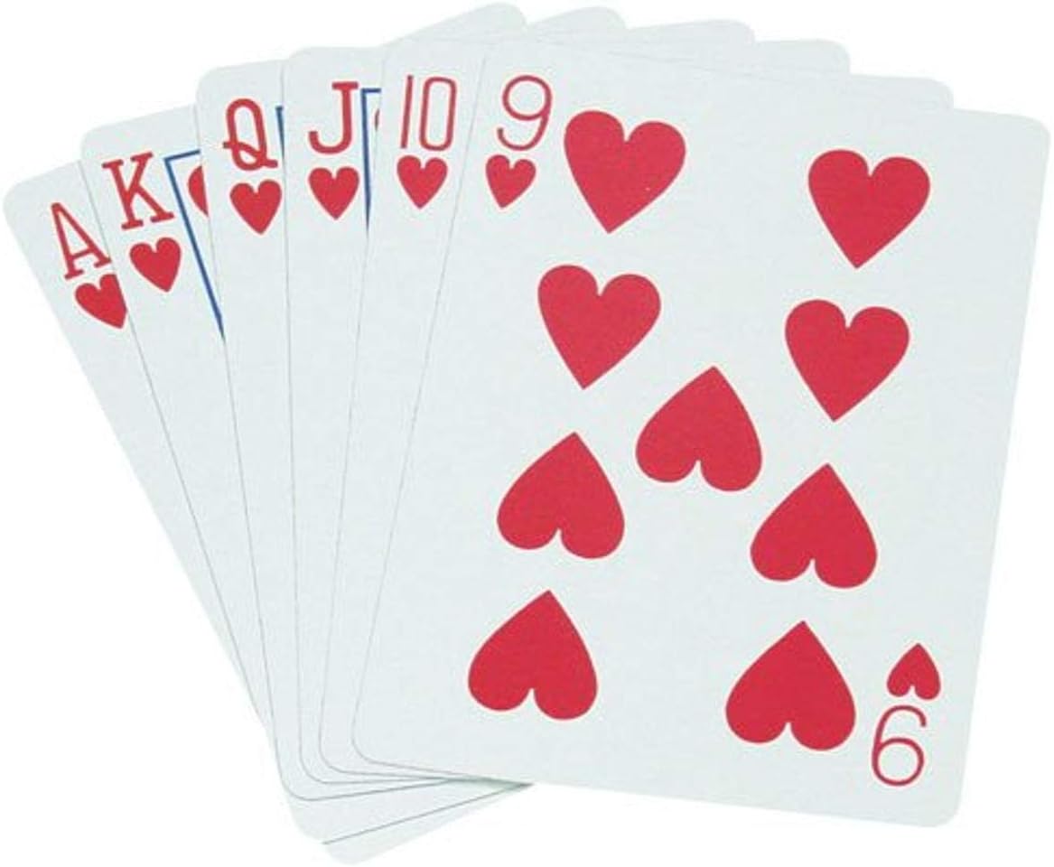 Standard Playing Cards - Pinochle (DZN)