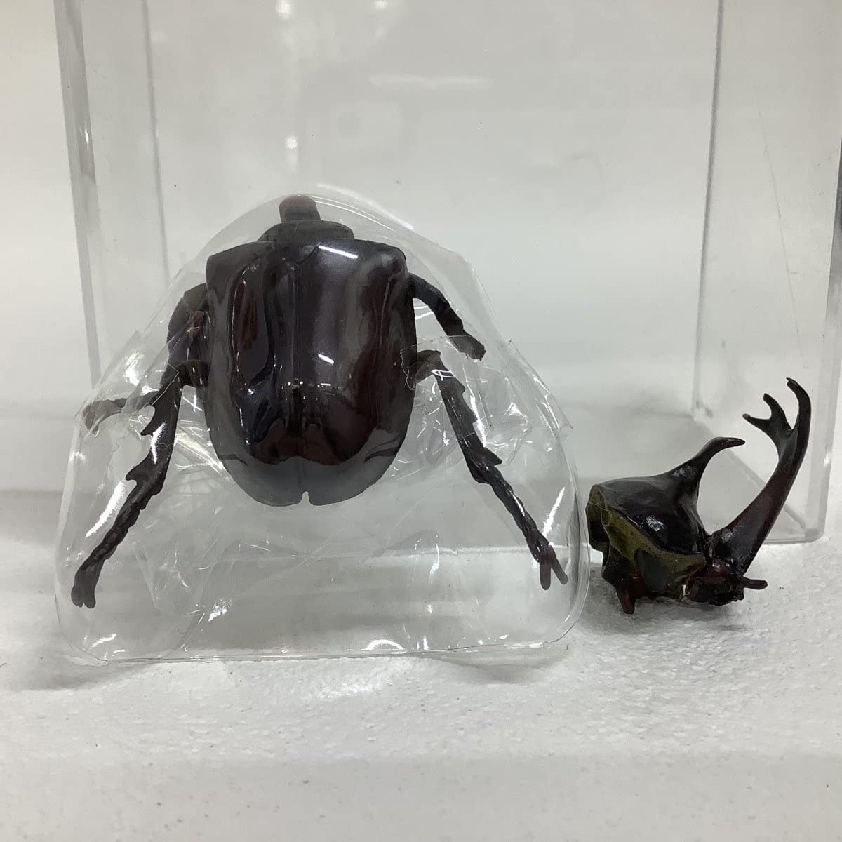 Amazon | Yujin 原色図鑑シリーズ 原色日本昆虫図鑑Ⅰ 6種 カブトムシ