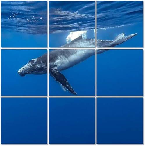 Miniatura 1 de Baleine bosse - Paneles acústicos artísticos autoadhesivos, paquete de 9 paneles decorativos insonorizados, grandes paneles absorbentes de sonido