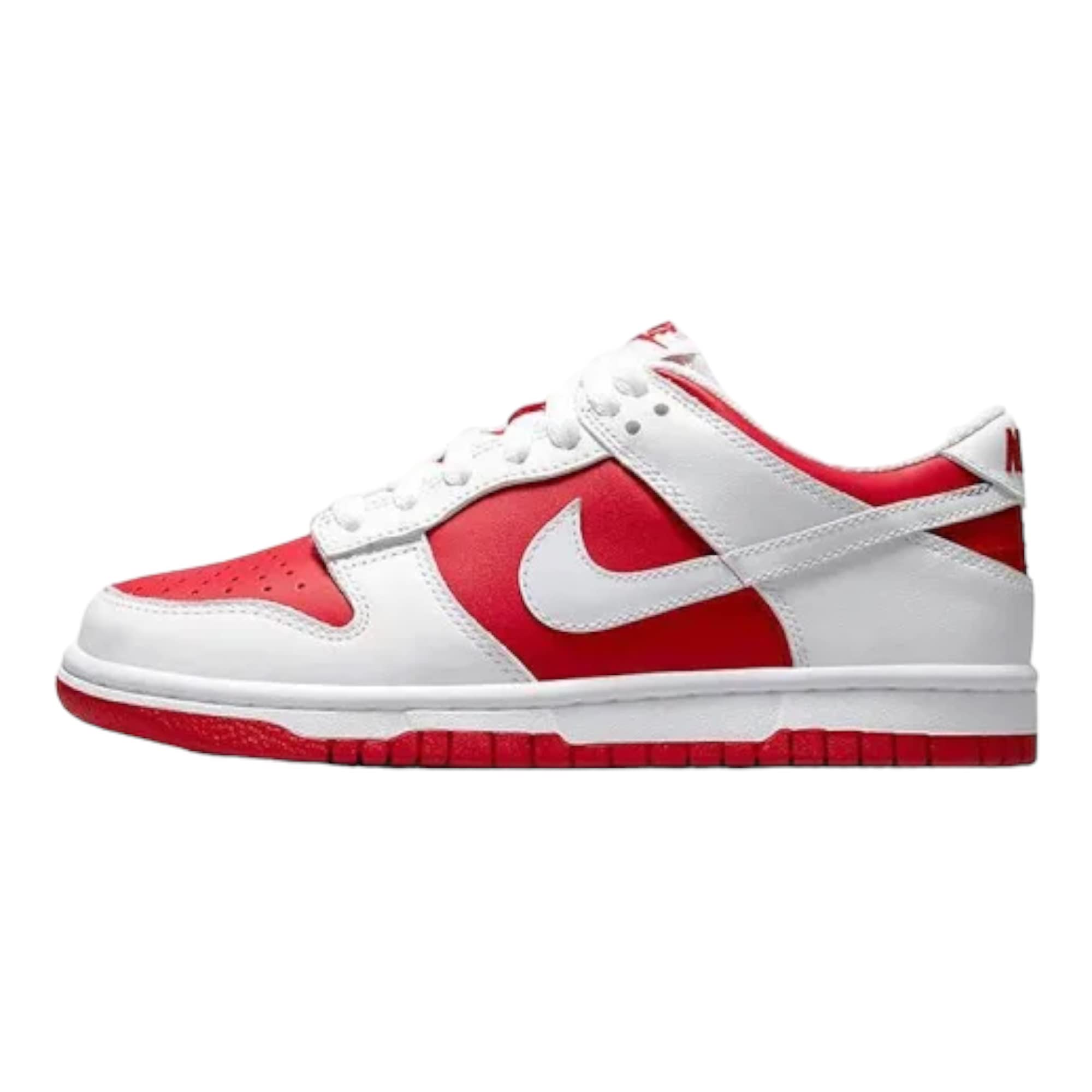 Nike Boys' Dunk Low SE Sneakers