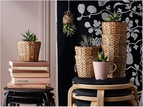 Ikea Fridfull 12 Cm Hasir Saksi DoĞal SÜ SÜmbÜlÜ