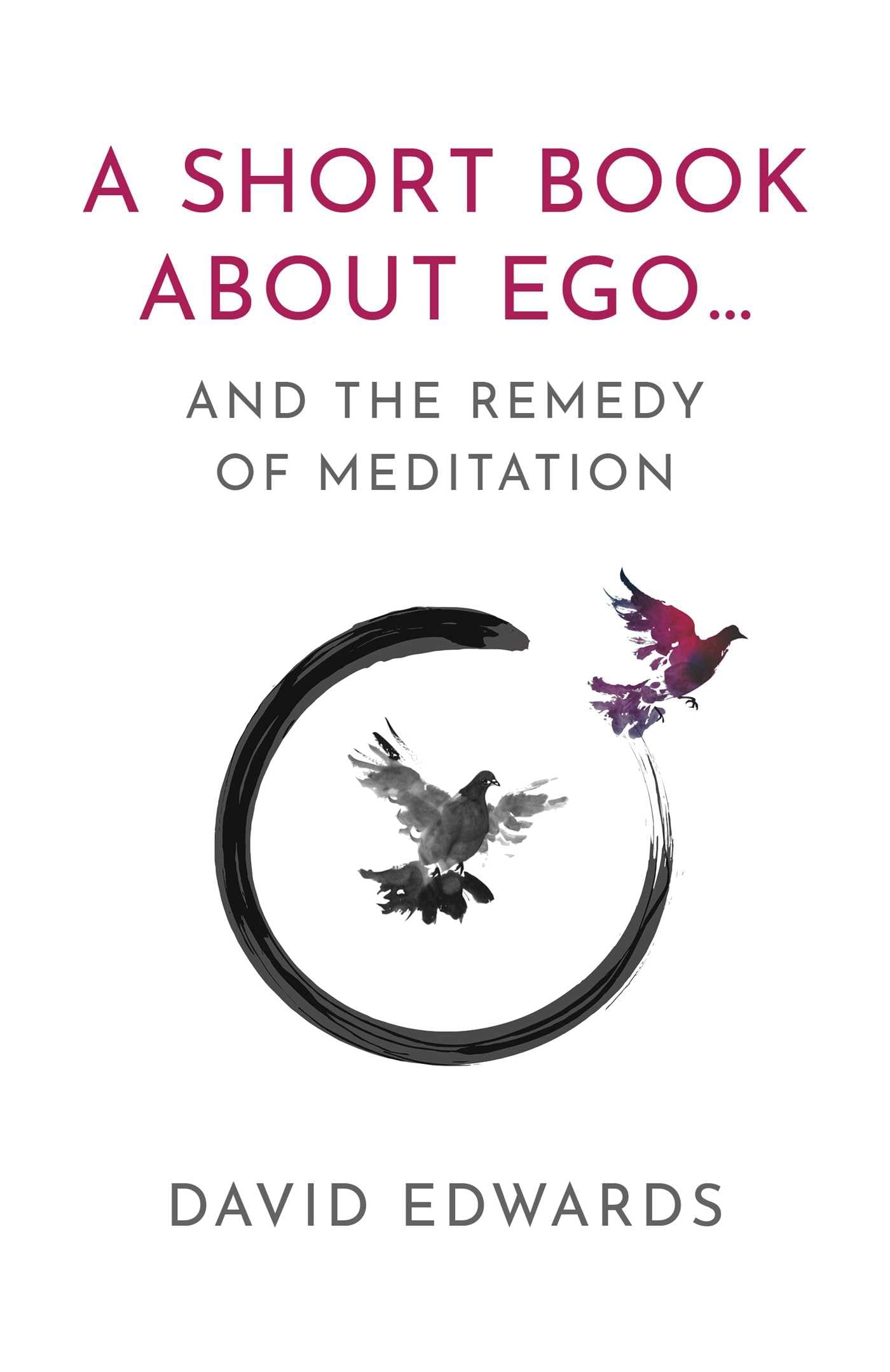 A Short Book About Ego... by David Edwards (Paperback Book)