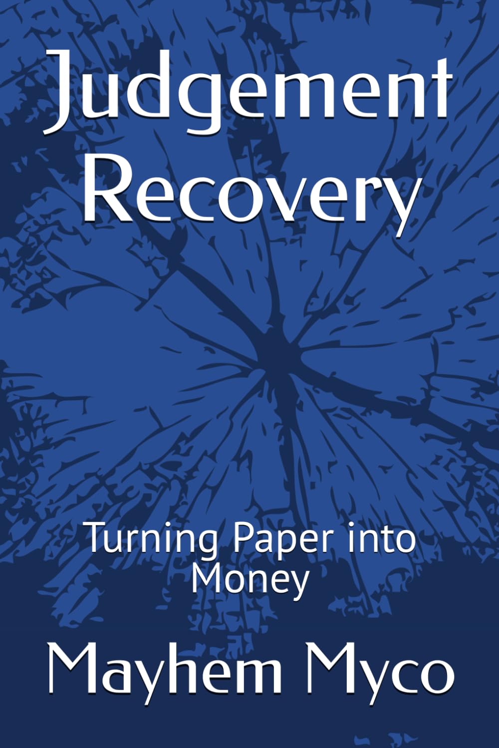Judgement Recovery: Turning Paper into Money (Adventure Careers: Professional Field Manuals)