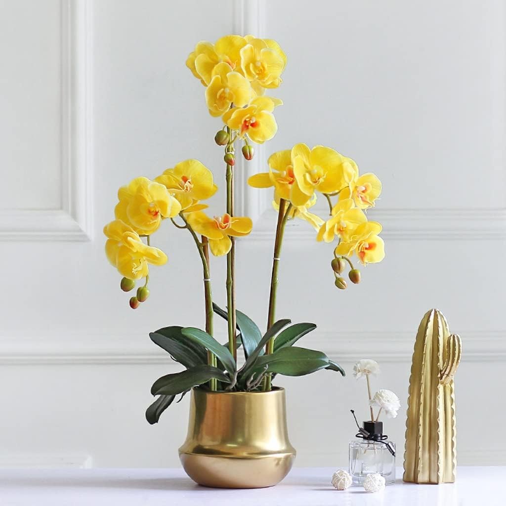 SDdPulse Orchidea artificiale fiore artificiale di seta orchidee finte placcate in ceramica dorata vaso di fiori artificiali Phalaenopsis fiori 65,5 cm orchidea artificiale molto naturale, giallo