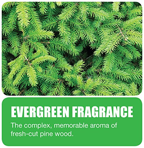 Big D 675 Toilet Bowl Rim Hanger with Non-Para Block, Evergreen Fragrance, 1500 Flushes (Pack of 12) - Ideal for restrooms in offices, schools, restaurants, hotels, stores, White