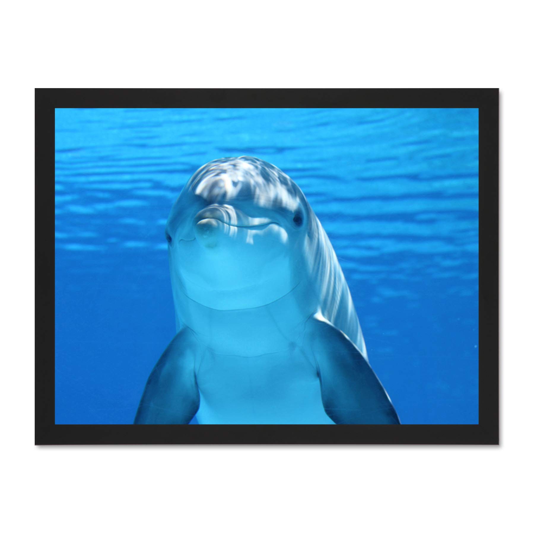 Bottlenose Dolphin Smiling Large Framed Art Print Poster Wall Decor 18x24 inch
