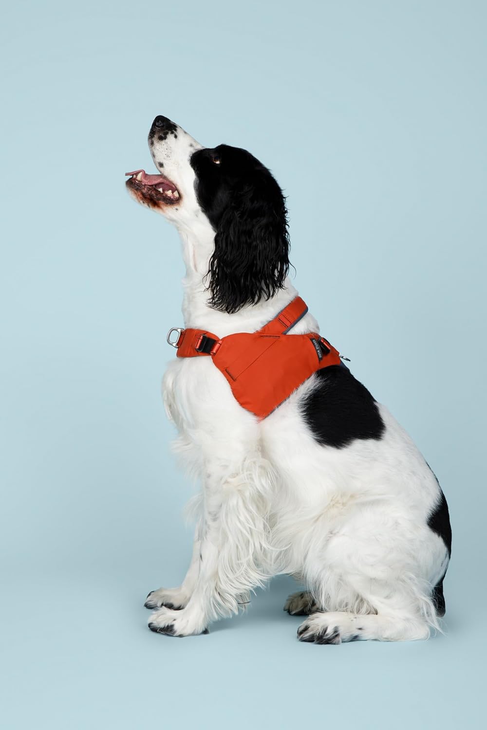 Ready-Go Harness for Dogs – Everyday Comfort & Adventure Harness with Magnetic Quick-Release Buckle, Reflective Details, Poo Pouch & Snack Sack Attachment (Canyon, Large)