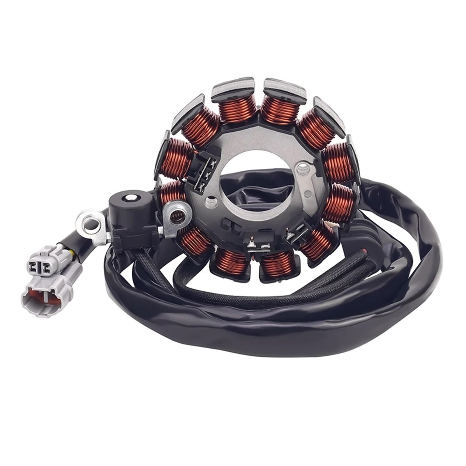 Bobine d'allumage de stator moteur pour moto WR250F alternateur de rechange 12V