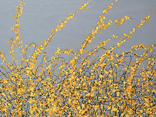 Toile imprimée Yellow Blossom de Simon Fairless pour illuminer le salon