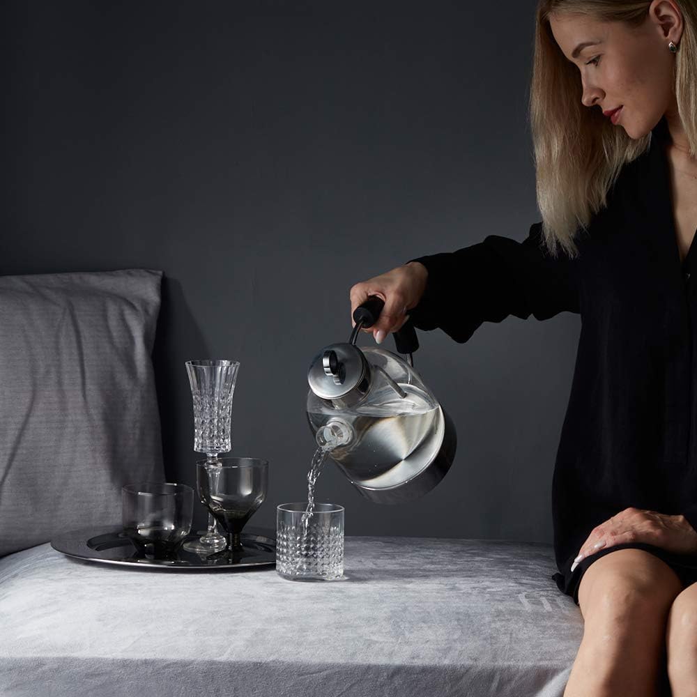 ASCOT Hervidor de agua de cristal, hervidor eléctrico regalos para hombres/mujeres/familias 1,5 L hervidor de agua a presión, protección contra ebullición en seco y apagado automático (plata)