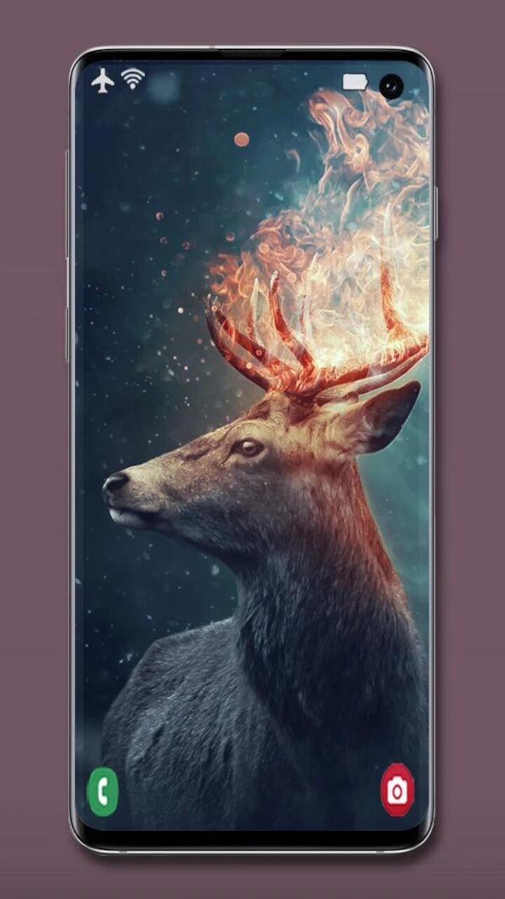 Animal Screensaver For for Android