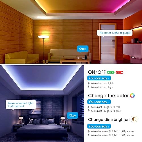 Miniatura 7 de GIDEALED Controlador LED inteligente WiFi RGBW de 2 salidas, 5 pines con control remoto RF de 24 teclas, compatible con Alexa y Google Assistant,