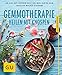 Produktbild Gemmotherapie: Die neue Pflanzenmedizin (GU Ratgeber Gesundheit)