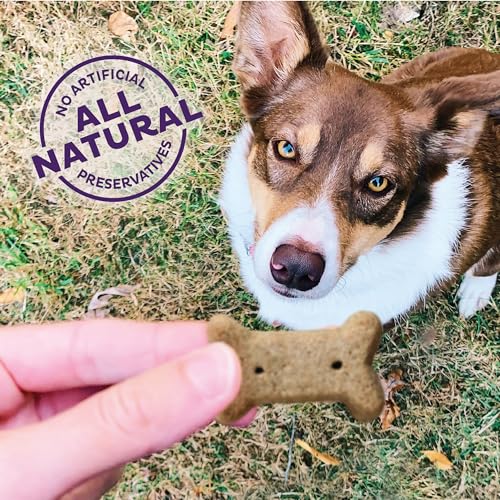 Image of Old Mother Hubbard Wellness P-Nuttier Dog Biscuits, Natural, Training Treats, Peanut Butter Flavor, Small Size, (20 Pound Bag)
