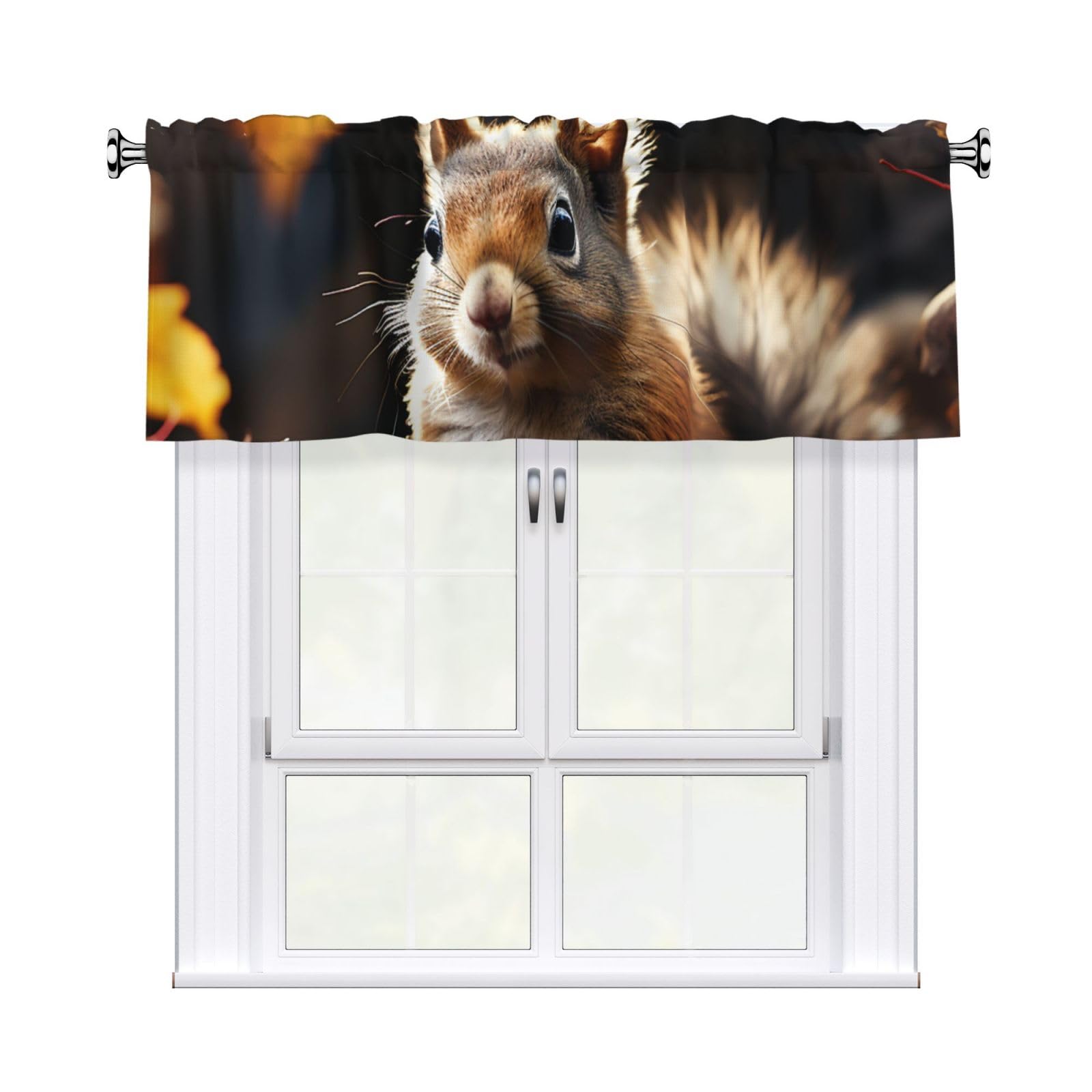 Squirrel in The Woods Valance Curtain 54 X 18 Inch,Blackout Kitchen Valance Window Treatments Rod Pocket Drapes Modern Art Short Curtains for Kitchen Windows Bathroom Bedroom