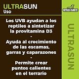 Ver la foto 5