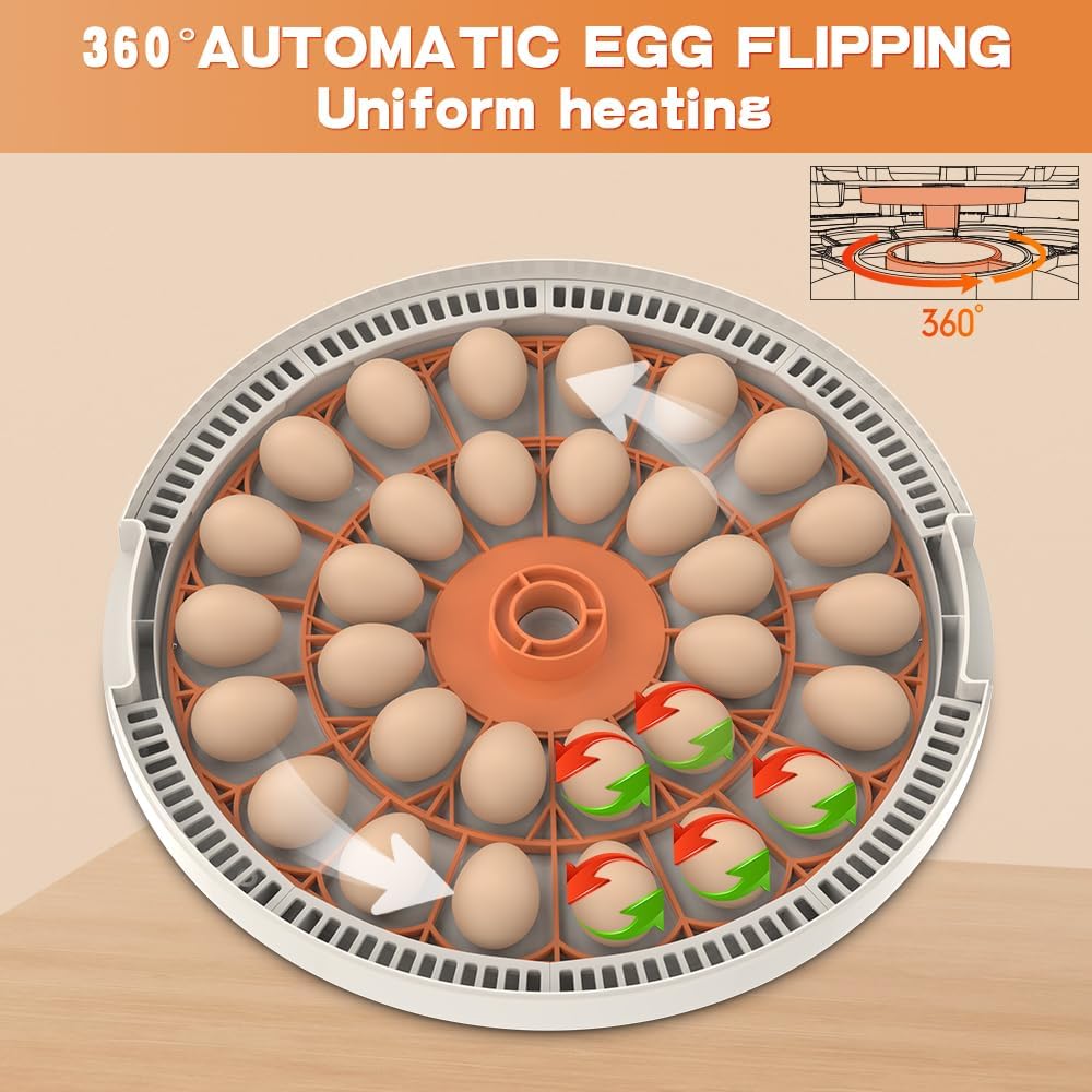 Incubadora automática de huevos con control de temperatura y pantalla de humedad, capacidad de 30 piezas para incubar codorniz, pato, pollo, paloma